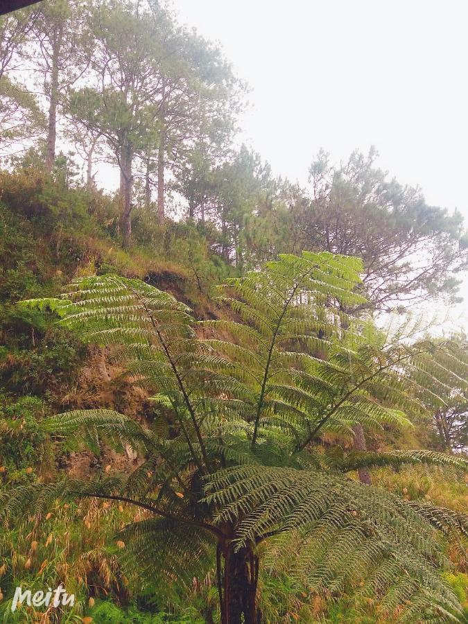 Family Unit In Sagada Villa Exterior photo
